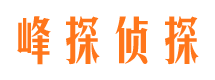 银海市私家侦探